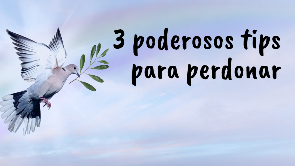 perdonar